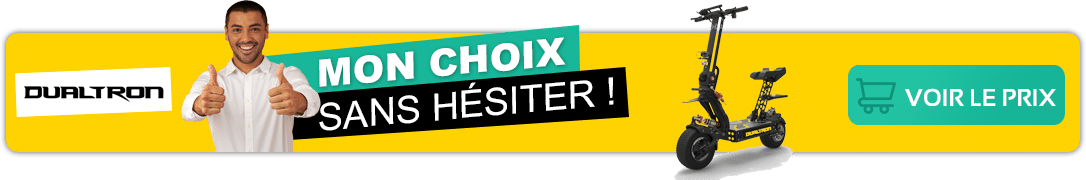 trottinette-electrique-dualtron-dualtron-x